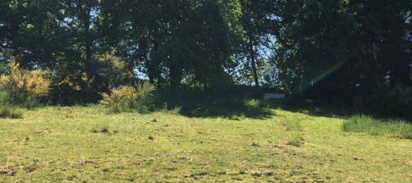  Land in Bernkastel-Wittlich, Germany No. 242593 9