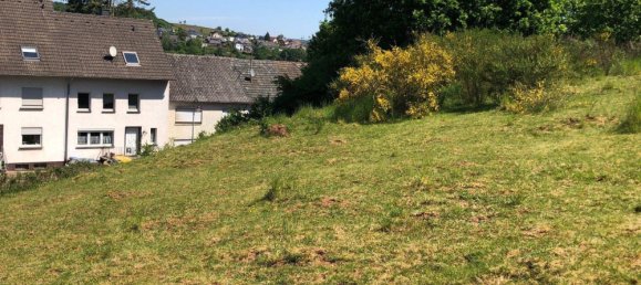  Land in Bernkastel-Wittlich, Germany No. 242593 11