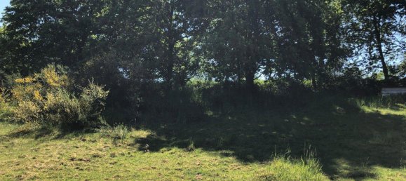  Land in Bernkastel-Wittlich, Germany No. 242593 18