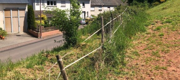  Land in Bernkastel-Wittlich, Germany No. 242593 14