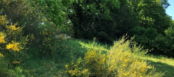  Land in Bernkastel-Wittlich, Germany No. 242593 19