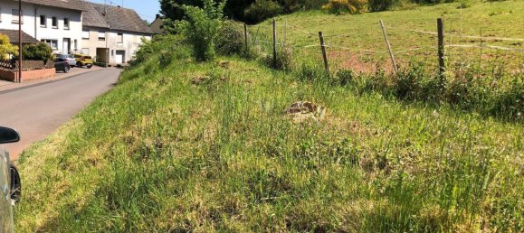  Land in Bernkastel-Wittlich, Germany No. 242593 7