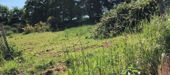  Land in Bernkastel-Wittlich, Germany No. 242593 17