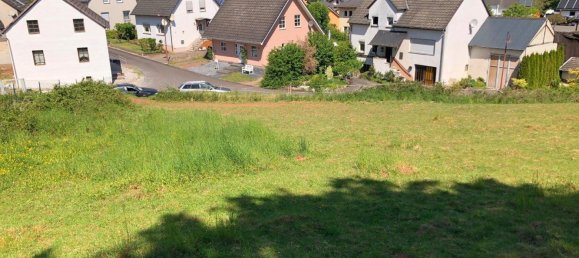  Land in Bernkastel-Wittlich, Germany No. 242593 3