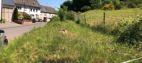  Land in Bernkastel-Wittlich, Germany No. 242593 16