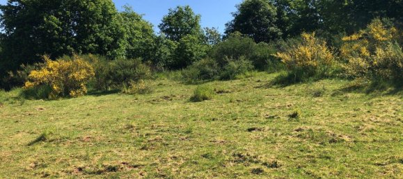  Land in Bernkastel-Wittlich, Germany No. 242593 8