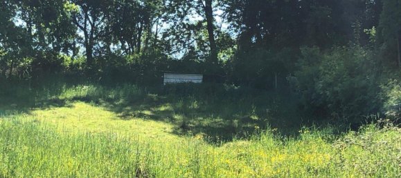  Land in Bernkastel-Wittlich, Germany No. 242593 6