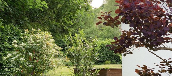 2 chambres Bungalow à Seebenstein, Austria No. 194381 14