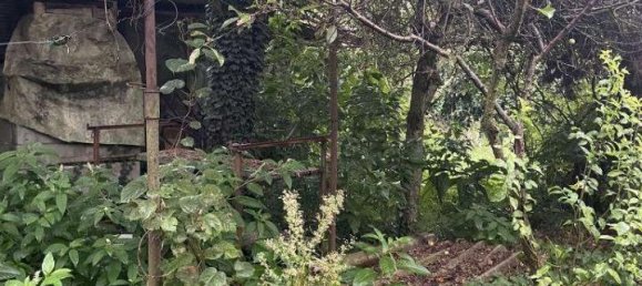 1-Zimmer Grundstück in Limbiate, Italy, Nr. 72444 10