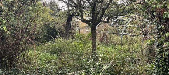 1-Zimmer Grundstück in Limbiate, Italy, Nr. 72444 8