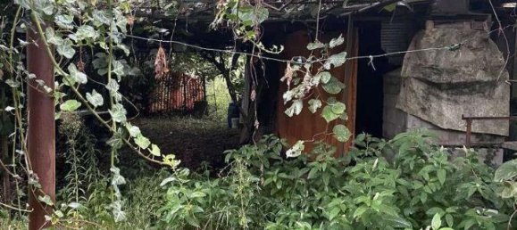 1-Zimmer Grundstück in Limbiate, Italy, Nr. 72444 9