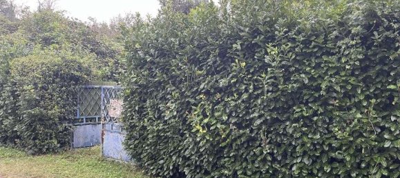 1-Zimmer Grundstück in Limbiate, Italy, Nr. 72444 3