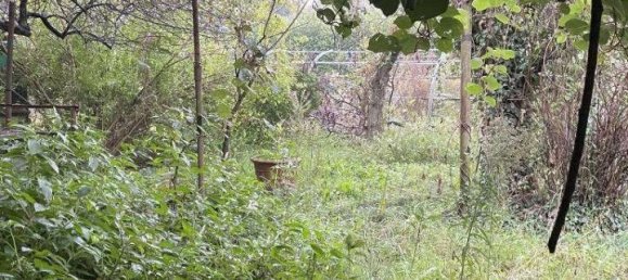 1-Zimmer Grundstück in Limbiate, Italy, Nr. 72444 15