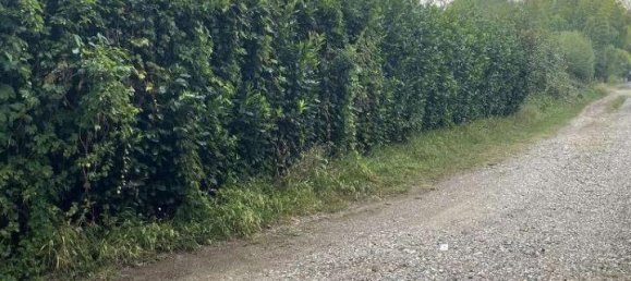 1-Zimmer Grundstück in Limbiate, Italy, Nr. 72444 4