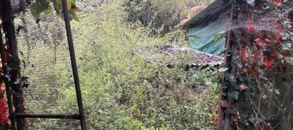 1-Zimmer Grundstück in Limbiate, Italy, Nr. 72444 13