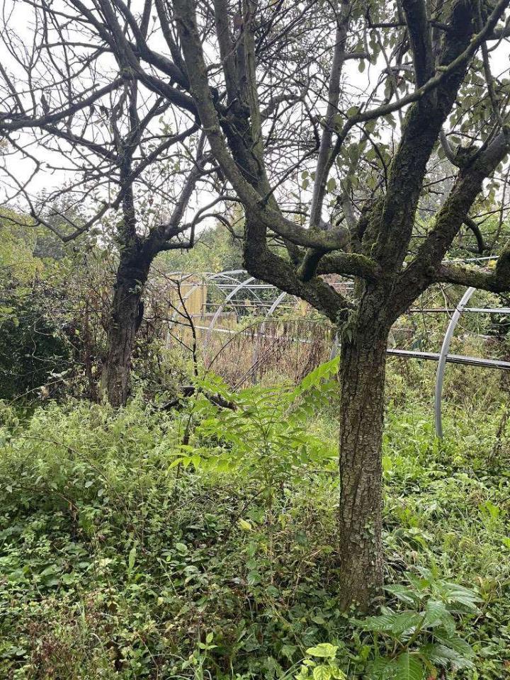 Terreno de 1 divisão em Limbiate, Italy N.º 72444