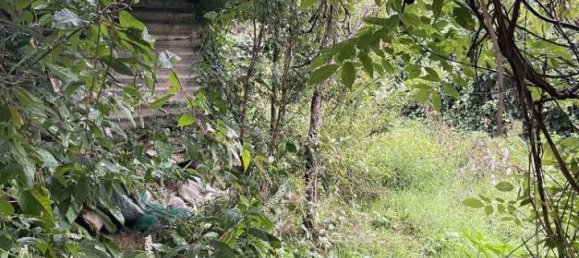 1-Zimmer Grundstück in Limbiate, Italy, Nr. 72444 12