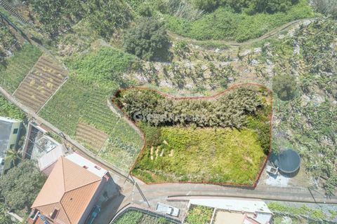  قطعة أرض في Ponta do Sol, Portugal رقم 319911