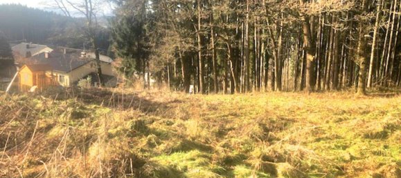 Grundstück in Ampflwang im Hausruckwald, Austria 1052m², Nr. 154873 6