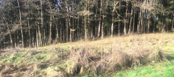 Grundstück in Ampflwang im Hausruckwald, Austria 1052m², Nr. 154873 2