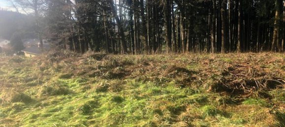 Grundstück in Ampflwang im Hausruckwald, Austria 1052m², Nr. 154873 5