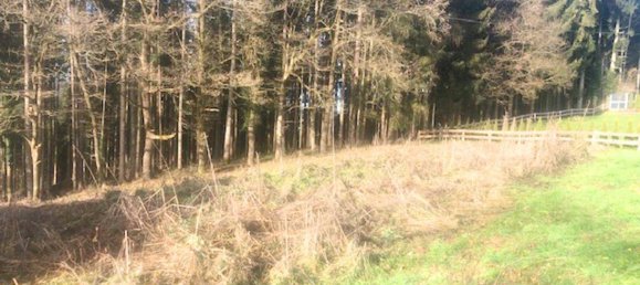 Grundstück in Ampflwang im Hausruckwald, Austria 1052m², Nr. 154873 7