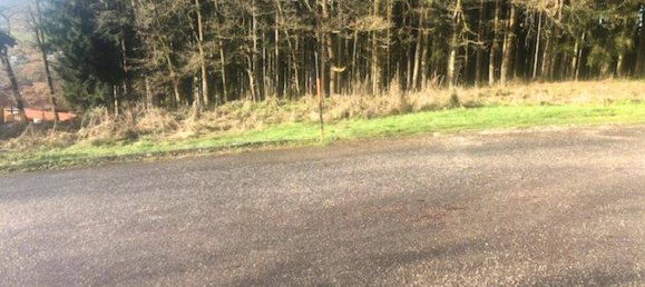 Grundstück in Ampflwang im Hausruckwald, Austria 1052m², Nr. 154873 8