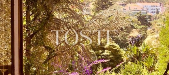 12 Schlafzimmer Haus in Sintra, Portugal, Nr. 141766 3