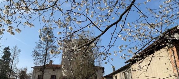 30 Schlafzimmer Haus in Momo, Italy, Nr. 335927 18