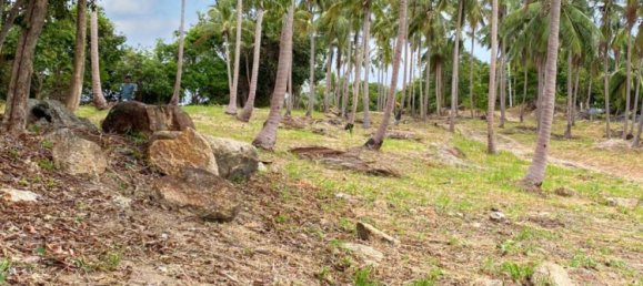  Commercial property in Surat Thani, Thailand No. 17007 5