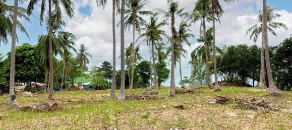  Commercial property in Surat Thani, Thailand No. 17007 3