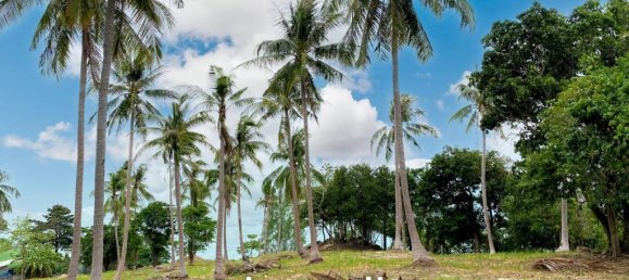  Commercial property in Surat Thani, Thailand No. 17007 7