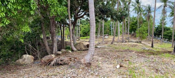  Commercial property in Surat Thani, Thailand No. 17007 6