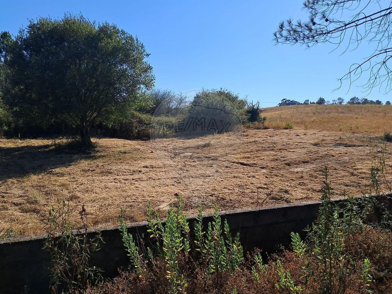 Grundstück in Tomar, Portugal, Nr. 220302