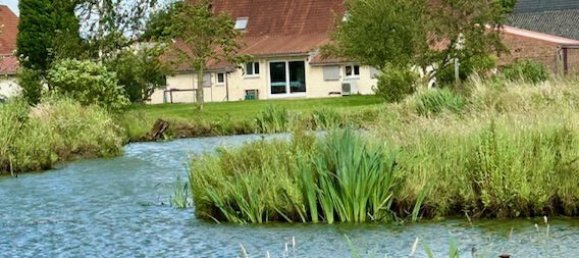 5 bedrooms House in Cassel, France No. 159643 2