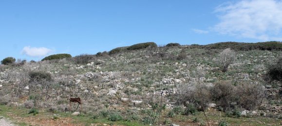 18865m² Hotel in Agios Nikolaos, Greece No. 5153 2