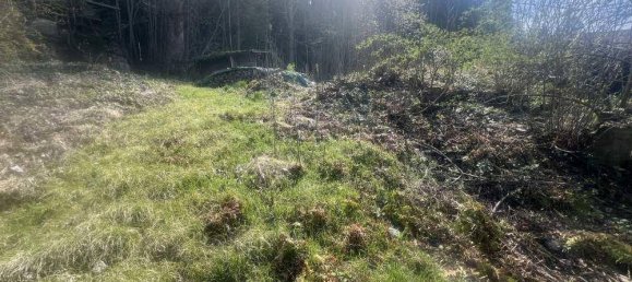 Grundstück in Rohrberg, Austria 795m², Nr. 162491 2