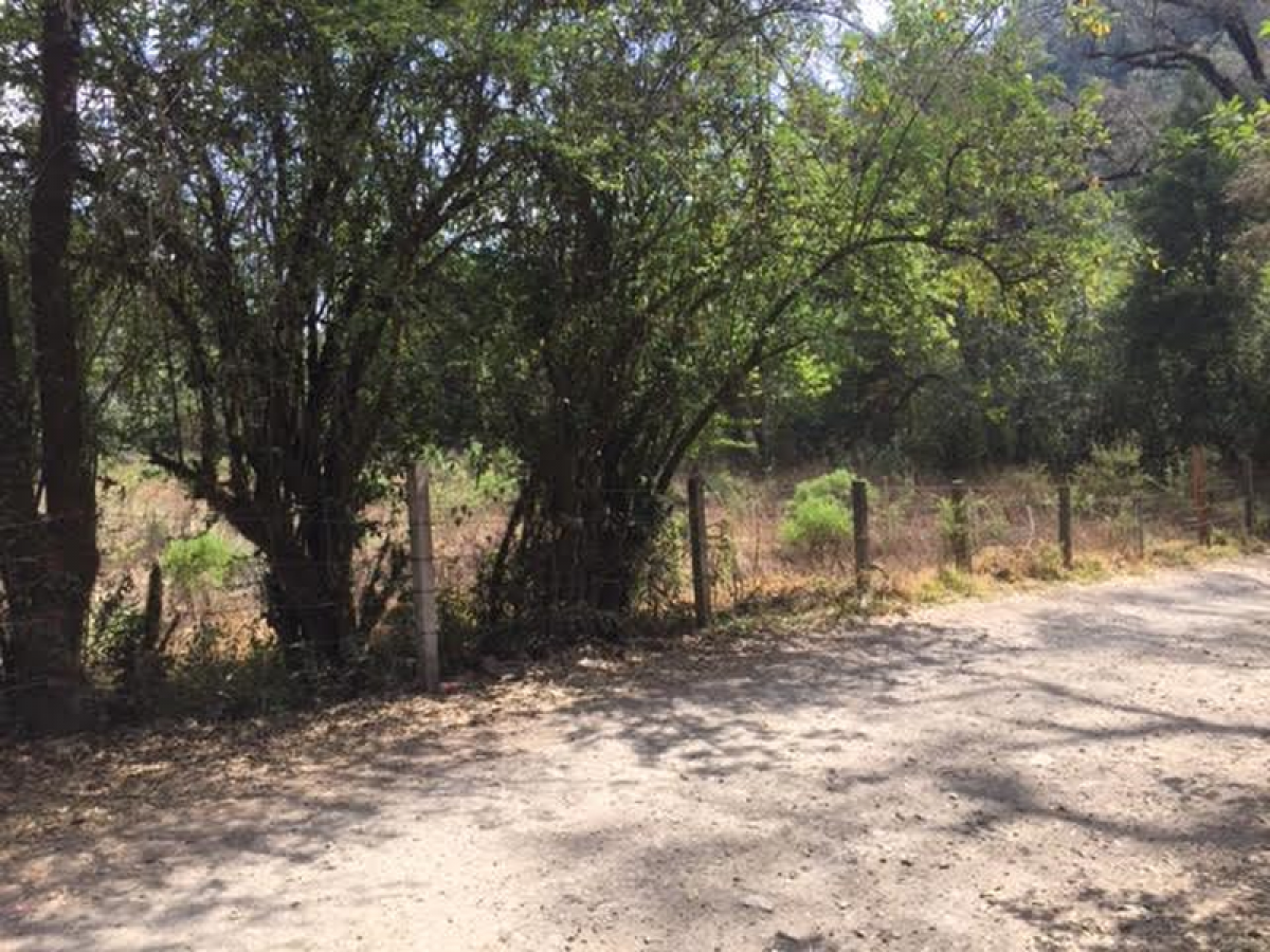 Земельный участок в Эройка Матаморос, Мексика № 204694