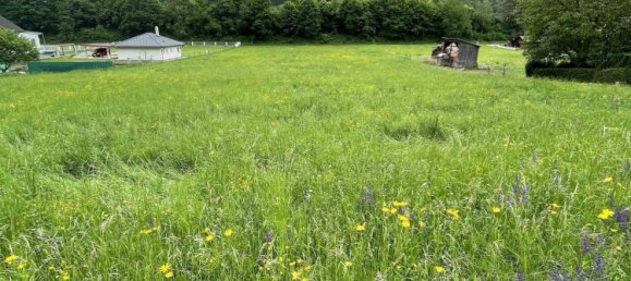  قطعة أرض في Gratkorn, Austria 6257متر مربع رقم 195937 4