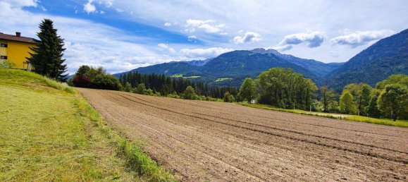  Land in Berg im Drautal, Austria No. 162501 6