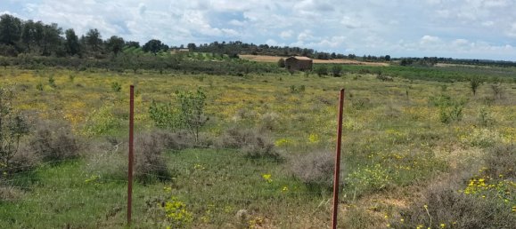 Land in Zaragoza, Spain No. 160602 29