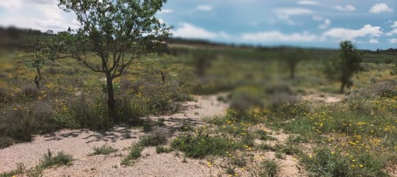 Land in Zaragoza, Spain No. 160602 45