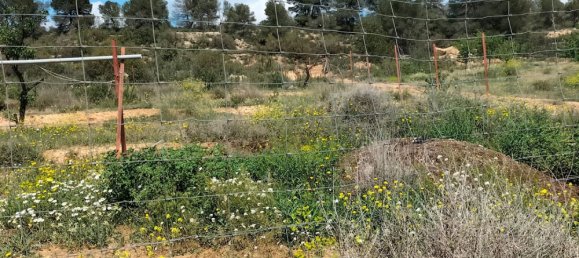 Land in Zaragoza, Spain No. 160602 50