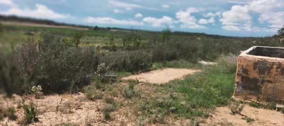 Land in Zaragoza, Spain No. 160602 47