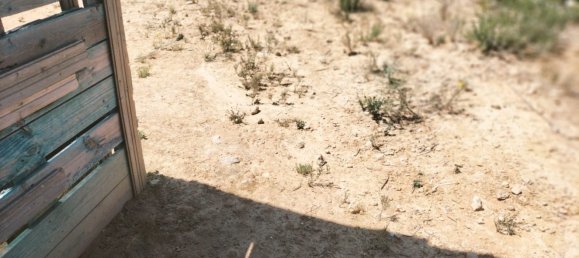 Land in Zaragoza, Spain No. 160602 22