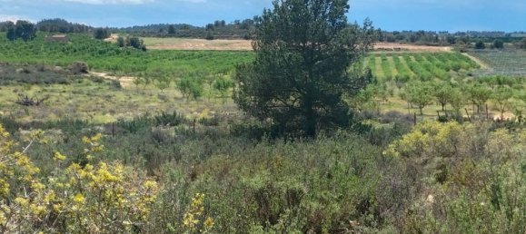 Land in Zaragoza, Spain No. 160602 37