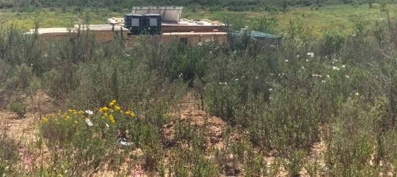 Land in Zaragoza, Spain No. 160602 38