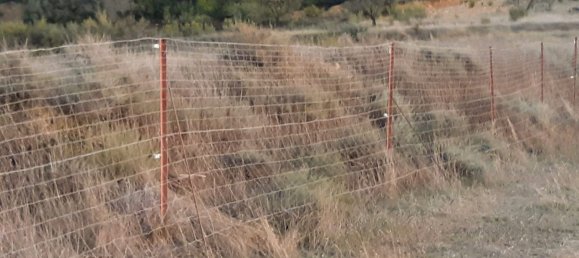 Land in Zaragoza, Spain No. 160602 34