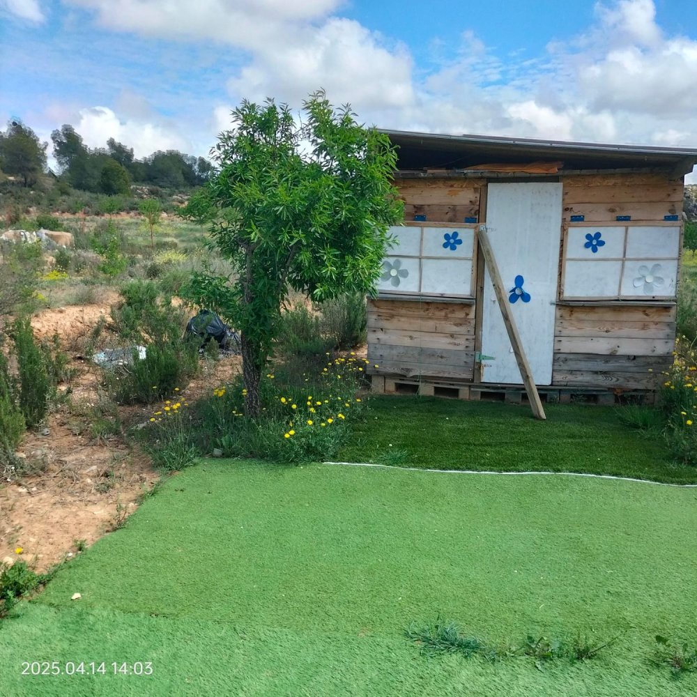  Land in Zaragoza, Spain No. 160602