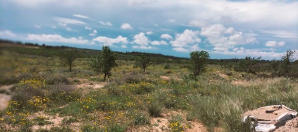 Land in Zaragoza, Spain No. 160602 46